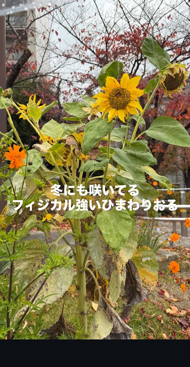melody_luv_0's tweet photo. #山中柔太朗のここが好き 
インスタでTwitterみたいなことしてるとこ https://t.co/fD3z4tPyHz