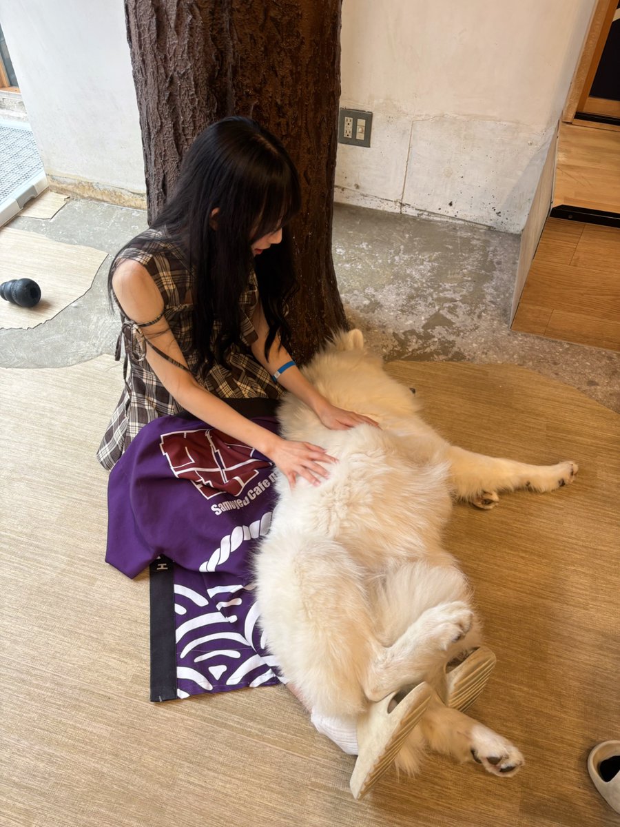 七瀬 柚香 (@yu_zu_gram) / Posts and Replies / X