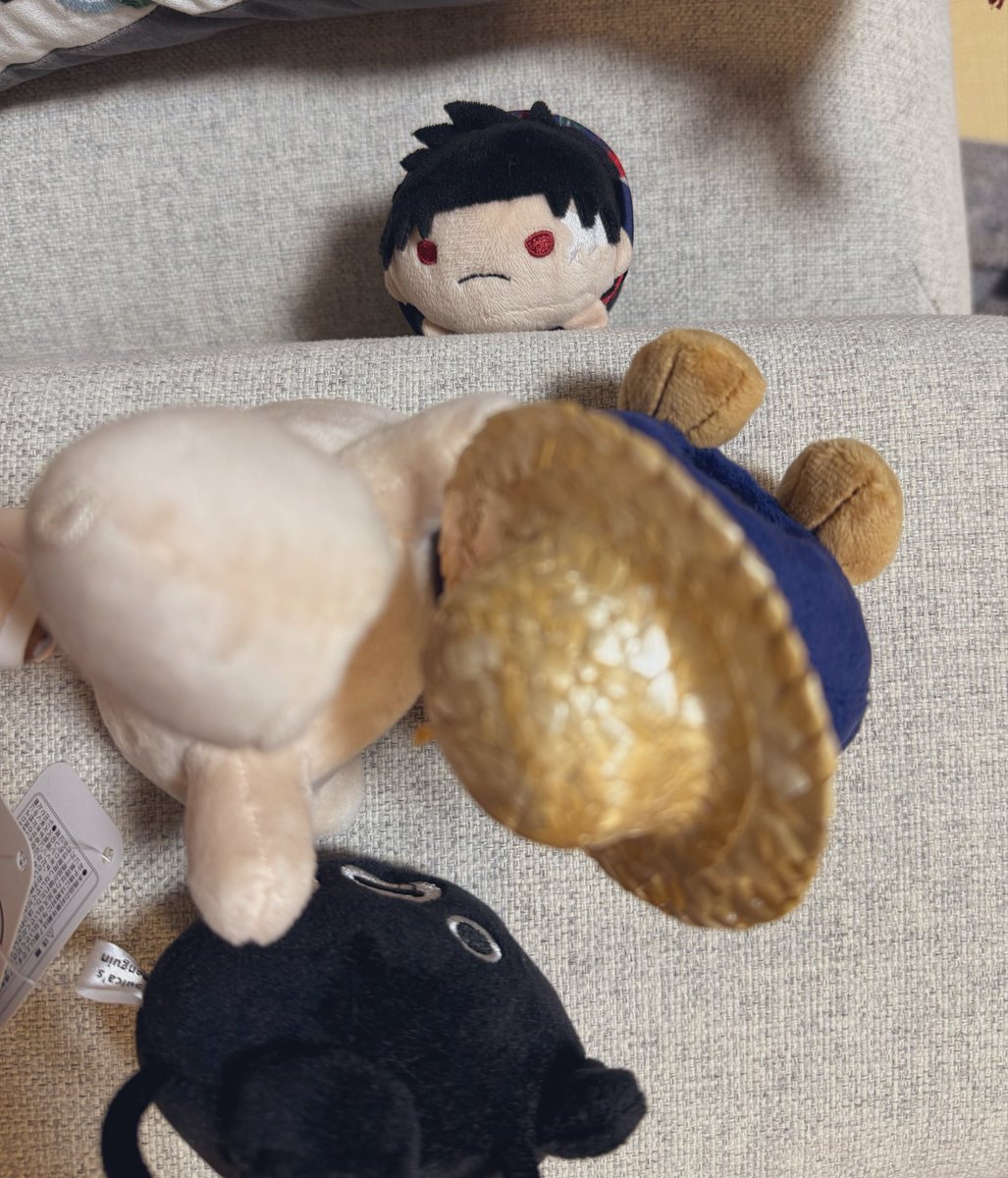 gomimakiba's tweet photo. ちひぬいくん、たのしそうなの羨ましいね https://t.co/dK5Ftzvwqb