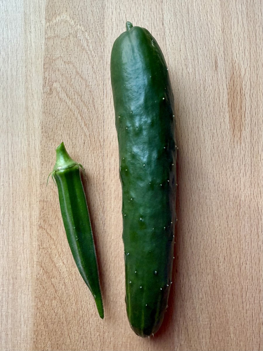 reality_seseri's tweet photo. 家庭菜園している野菜たちが
少しずつですが収穫期を迎えました！
✨✨\(*ˊᗜˋ*)/✨✨
初挑戦のきゅうり、オクラがなかなか立派に育ってくれて嬉しい🥒☺️
プチトマトは2回目ですが、去年と違う品種にしたら変わった見た目でかわいいし皮厚めで好き！🍅

きゅうり切った時、断面から水が滴ってきてびっくりしました！✨(ω👀)
みんな生きてるんだね…
ありがとう美味しくいただくね…🙏(  ĭωĭ  )