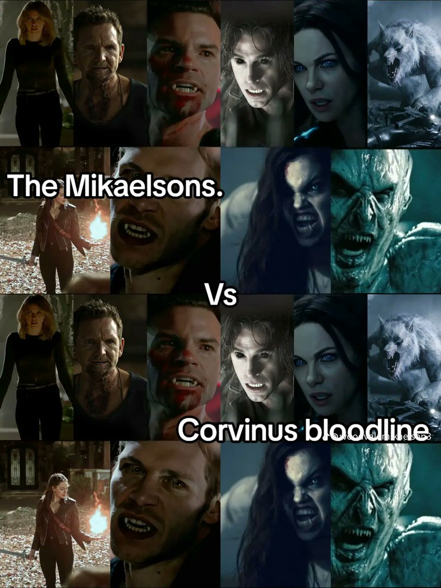 demigod58727's tweet photo. For $10billion, you are to kill one of this tvd family, and the rest will find you,if you survive them for 24hours. You get the money. which family would you pick. https://t.co/006MHRovzO