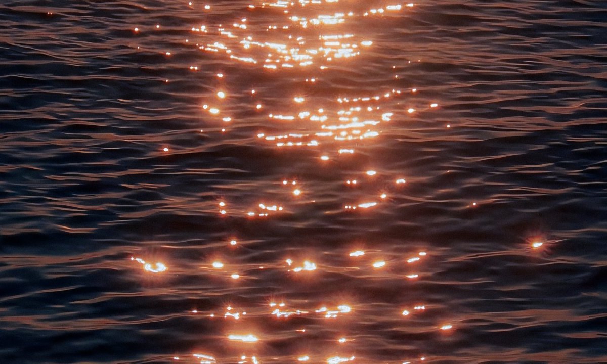 gardenofcolours's tweet photo. golden reflections ✨ https://t.co/VTNGI4rMQj