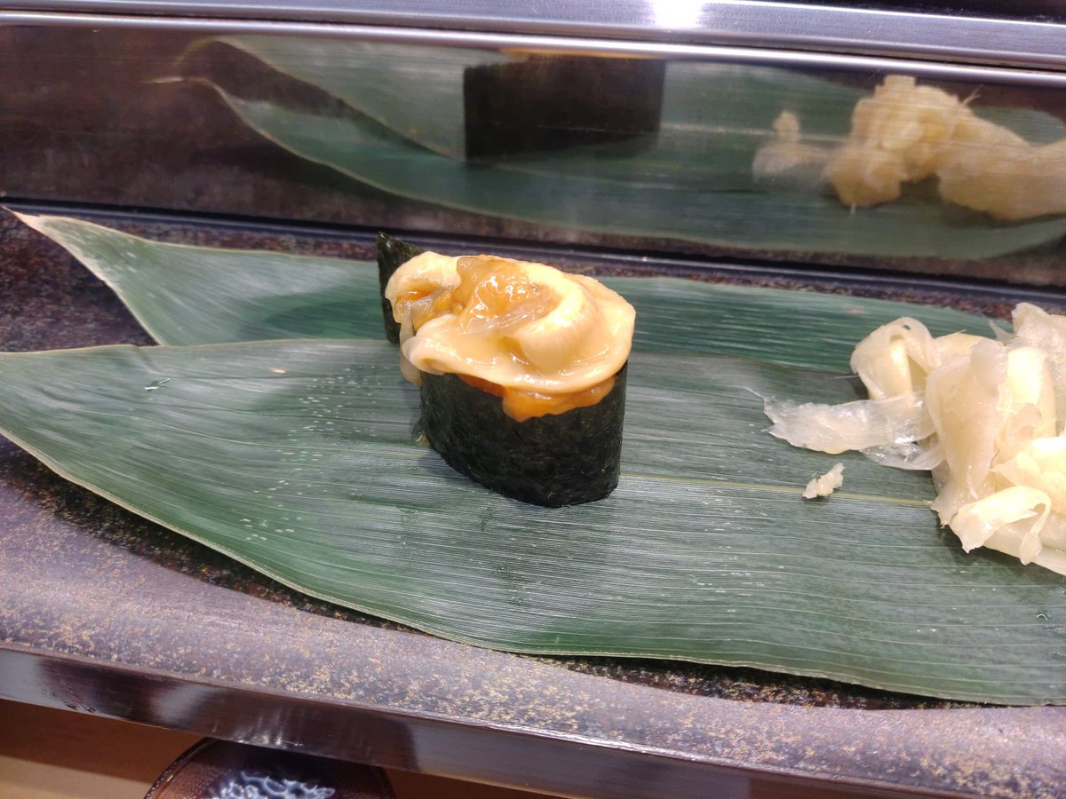serpente_Mela's tweet photo. ホヤの写真のこってたや https://t.co/P4MPpzNo7p