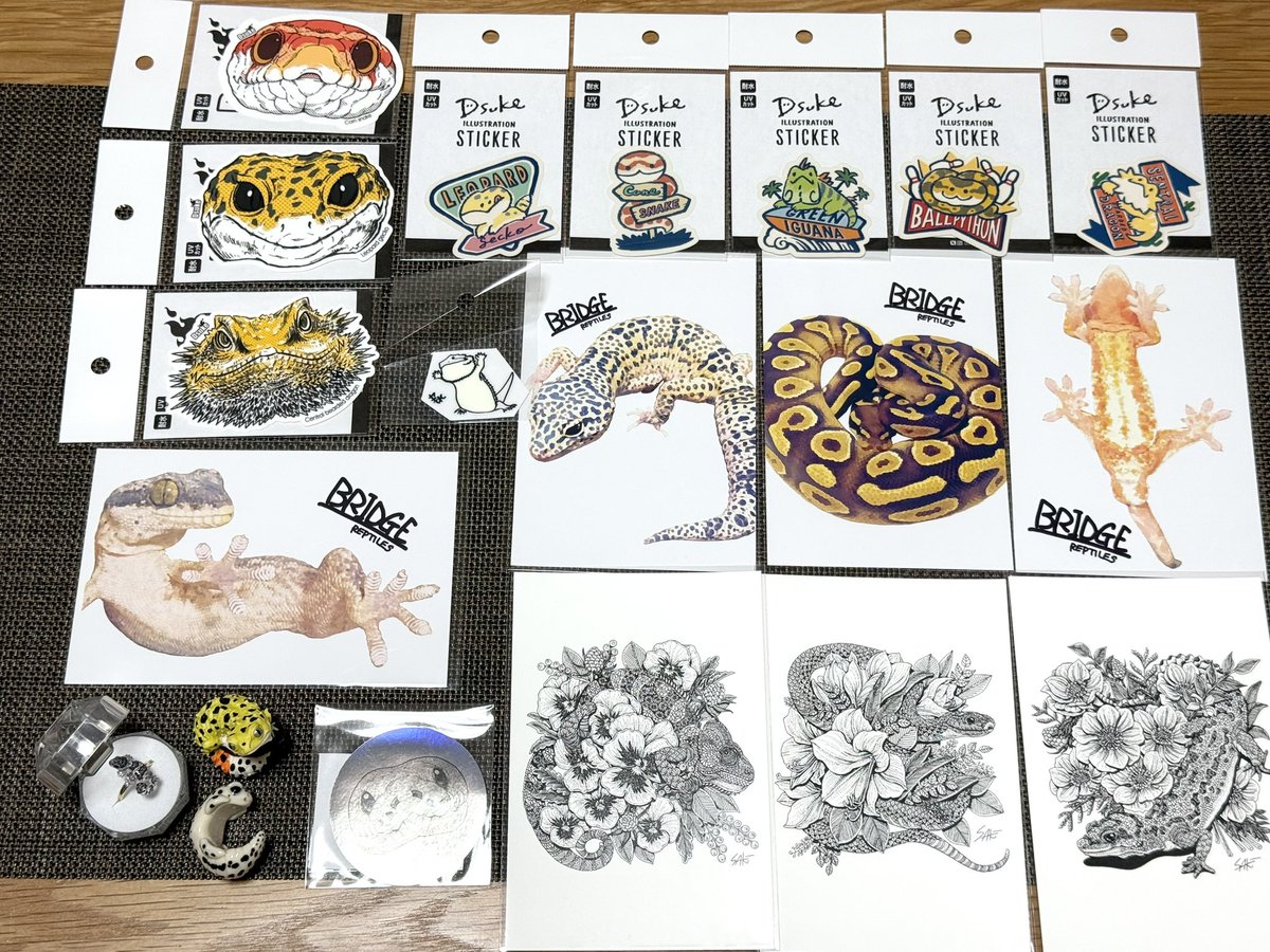 harkyn7's tweet photo. #レプタイルズフィーバー
行ってきた！たくさんの爬虫類の生体とグッズ見れてめっちゃ楽しかった！画像は戦利品✨こんなに爬虫類グッズ売ってることないからポスカとステッカー中心にゲット👍また次回も行きたい！ https://t.co/HgXYD47uuY