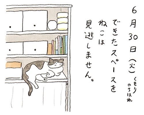 日高トモキチ@絵やら文やら写真やら (@mokizo) / Posts / X