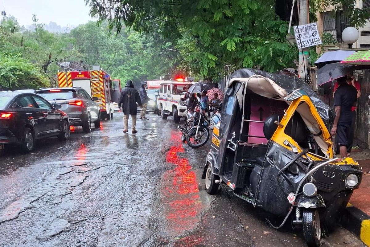 AneelMurarka's tweet photo. Every monsoon, Mumbai faces flooded roads, potholes, and dangerous tree falls that continue to endanger lives. Today, I witnessed a massive tree fall that seriously damaged a rickshaw and injured its occupant. BMC authorities and Corporators must act before more lives are lost. Please avoid standing or parking under trees during heavy rains. Stay safe and stay alert 🙏🌧🌳 ⚠️ 🚨 
@mybmc