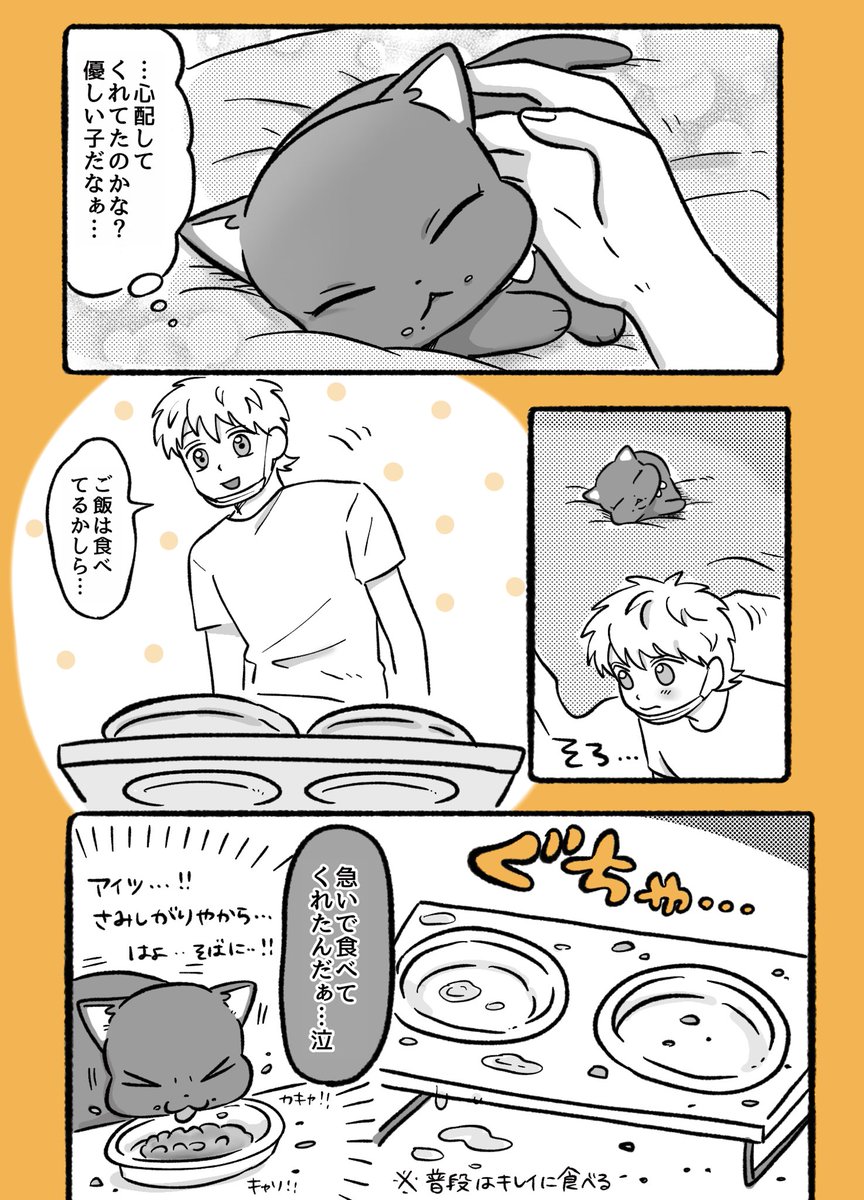 ppp___7373's tweet photo. ねこ漫画「ちゃまろ」

付きっきり看病 https://t.co/DcvERoNEsz