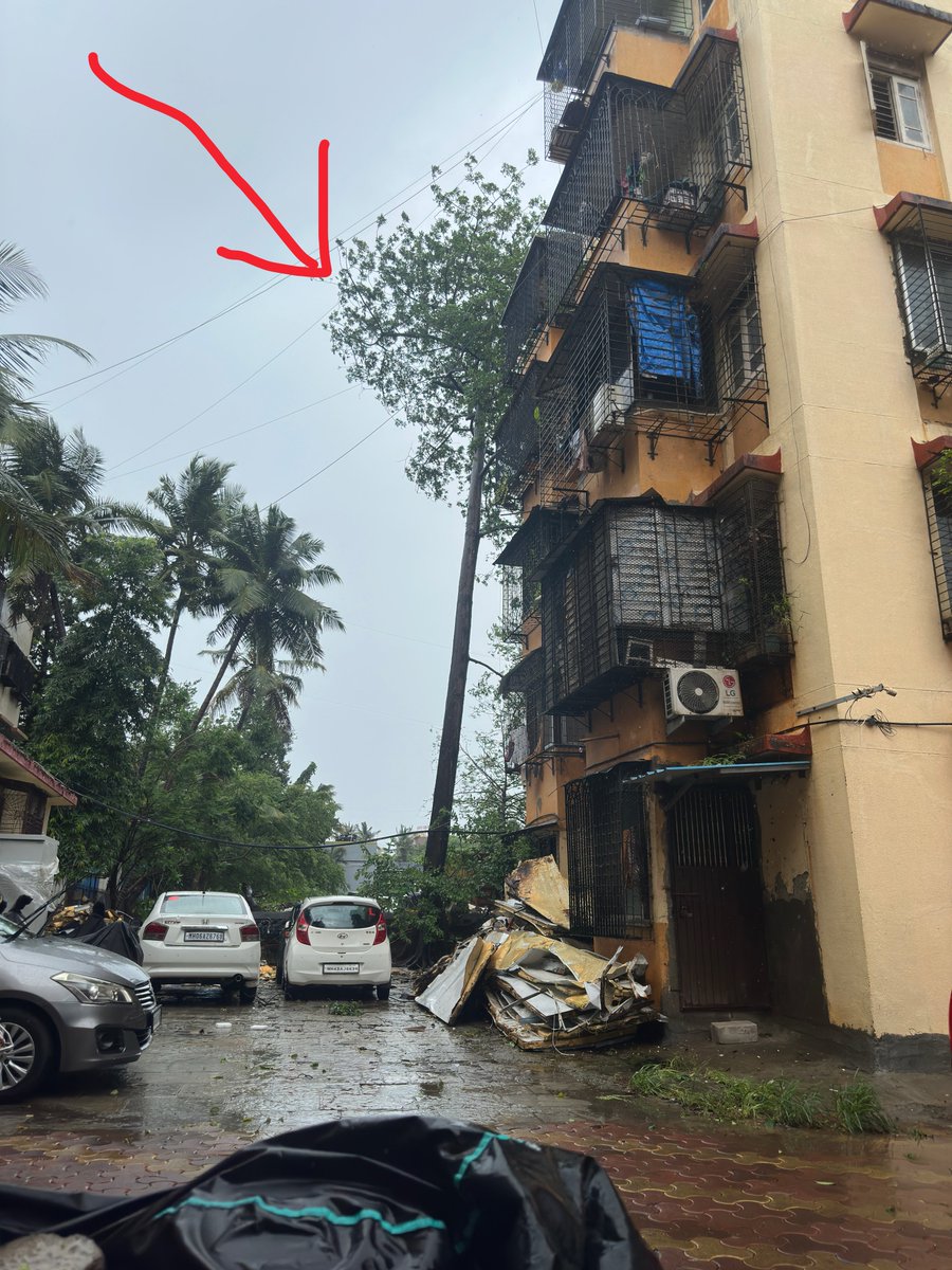 NSC4help's tweet photo. This tree might fall any time, it's swirling too much since last night.

Udaymitra Society, Shivsrushti Road. 

@mybmcWardL https://t.co/3bIcmkxeYj