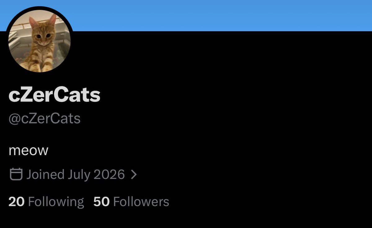 cZerCats's tweet photo. Thank you am for 50 followers:) <3 meow to you all https://t.co/jVqnralcuE