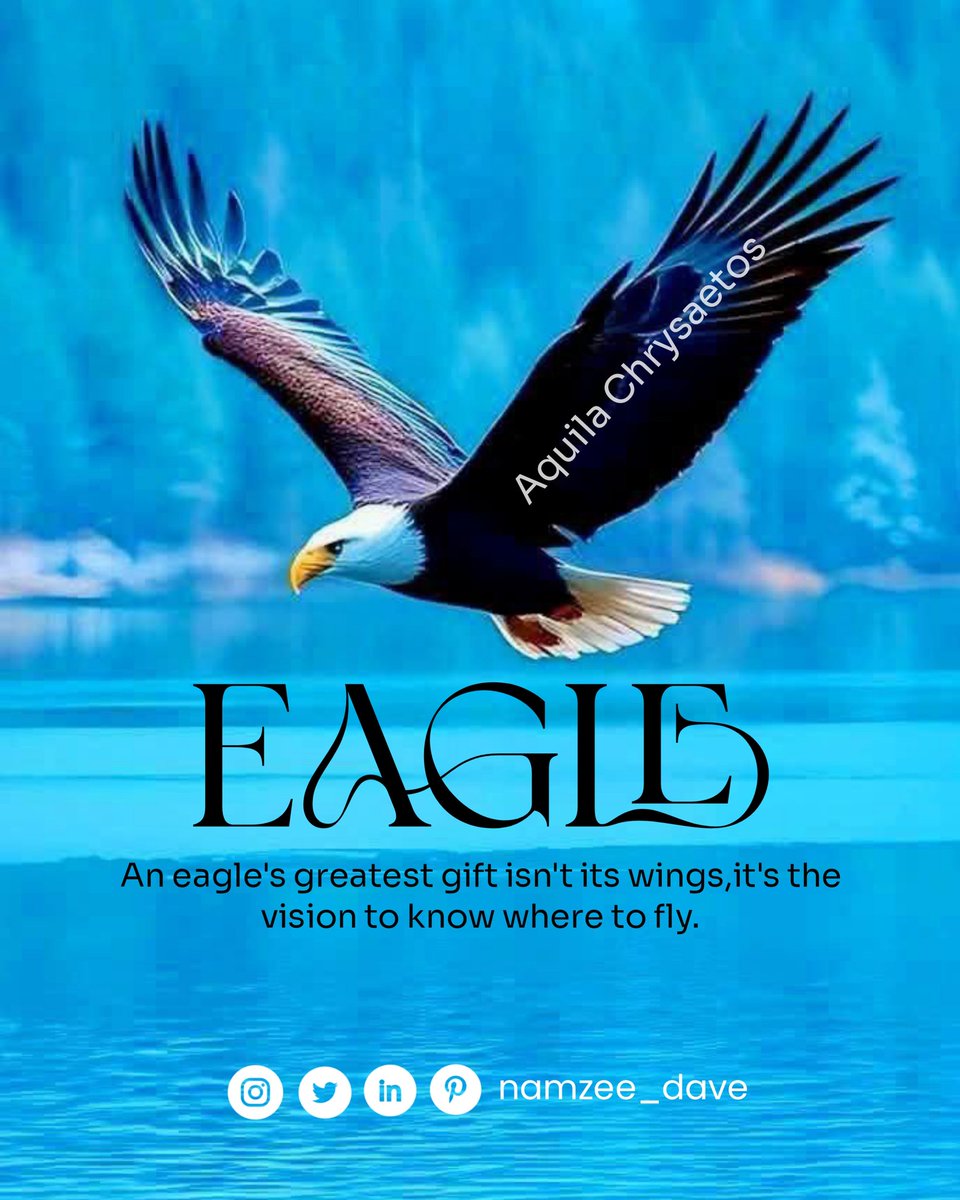 namzee_dave's tweet photo. 🦅 Day 04/30 — Eagle | Aquila chrysaetos
The eagle doesn't become extraordinary because it has wings.
It becomes extraordinary...
#TheWildWithin #Day4 #Eagle #GraphicDesign #PosterDesign #CreativeChallenge #VisualStorytelling #DesignJourney #DailyDesign #DesignInspiration https://t.co/uhRDWcBcmL