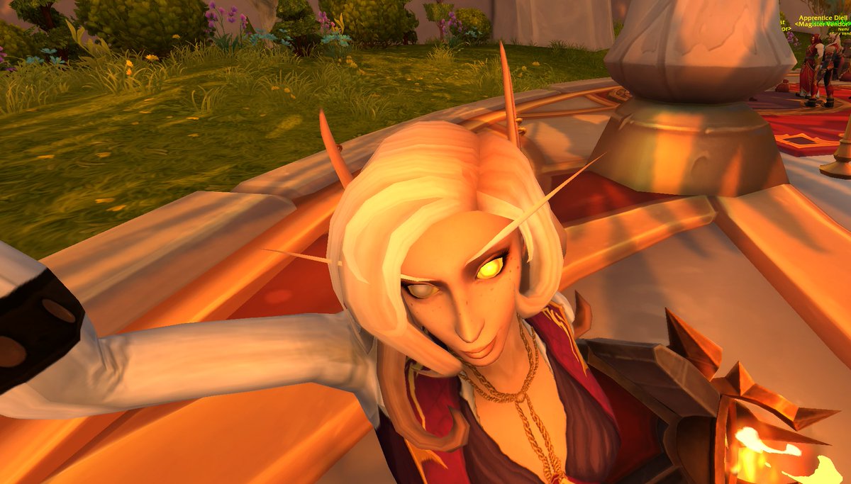 The player // the WoW character