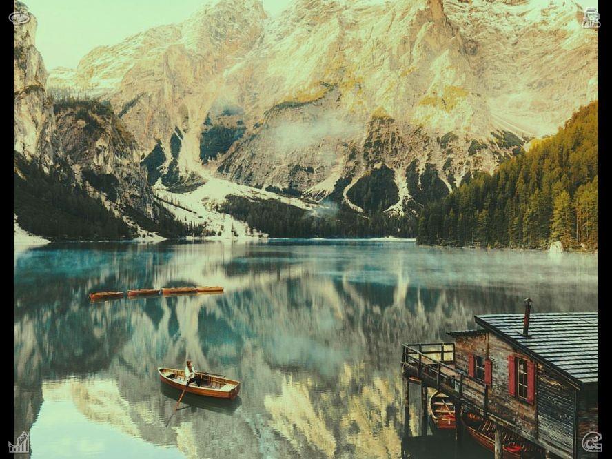 Tonya26296319's tweet photo. Cherish every breath. Immersing yourself in forest landscapes washes away life's trivial irritations and boredom. The purity and permanence of natural beauty replace mundane monotony with profound spiritual fulfillment. https://t.co/LObqrUvHe7