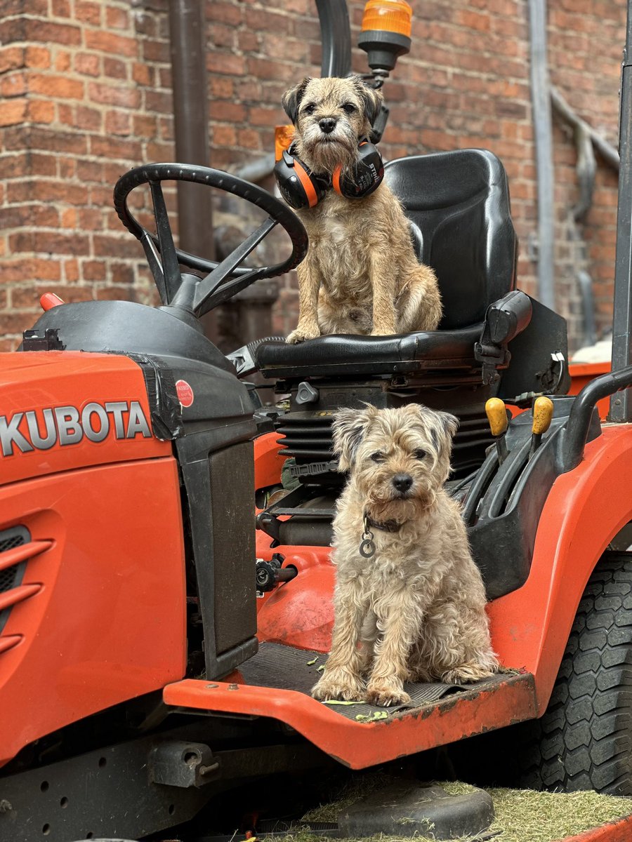 Riley_roo888's tweet photo. Annnnnndddd my bestie @marley_archie let me have a drive of his tractor before we set off home. Totally winning at besties I am #NumberOnePal #BTPosse #MyEarsWereTooSubstantislForTheDefenders https://t.co/m65vCOPsLV