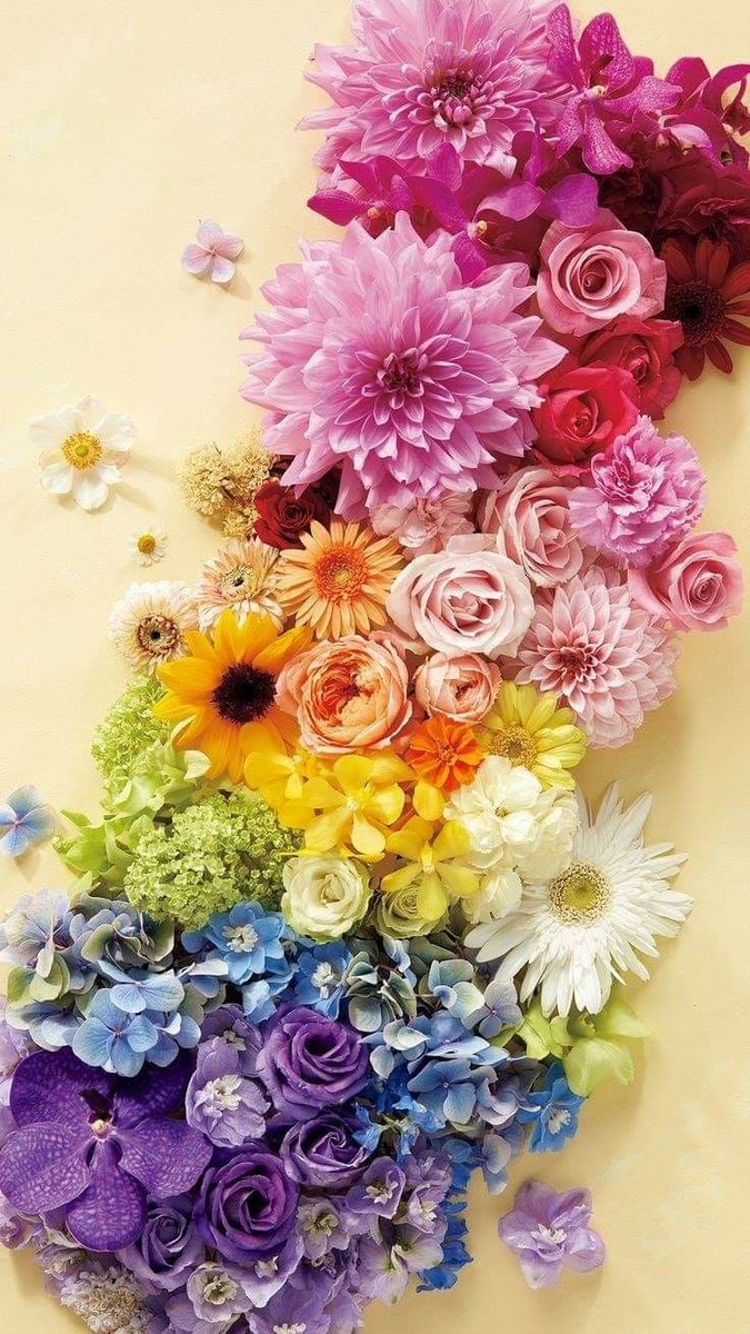 livinginstyle26's tweet photo. 🌈 of flowers https://t.co/q16d7hHr08