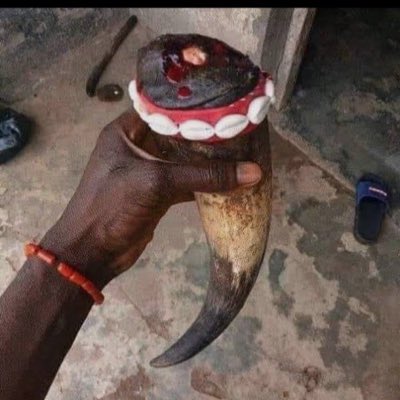 TruthSpeakorg's tweet photo. #NewProfilePic https://t.co/2ImwePpVq8