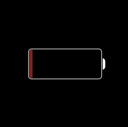 messy_Voice's tweet photo. ウチのぽんさん
散歩の後電池切れ(笑)
充電中🔌 https://t.co/APhg8Tdhct