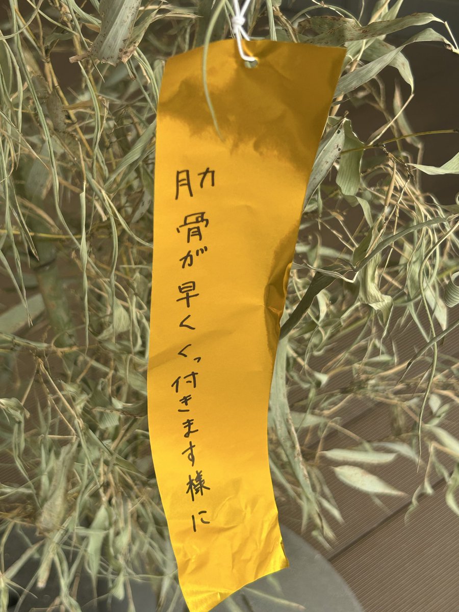 hirohide918's tweet photo. @Vild_hund https://t.co/91Cp8kmIyk