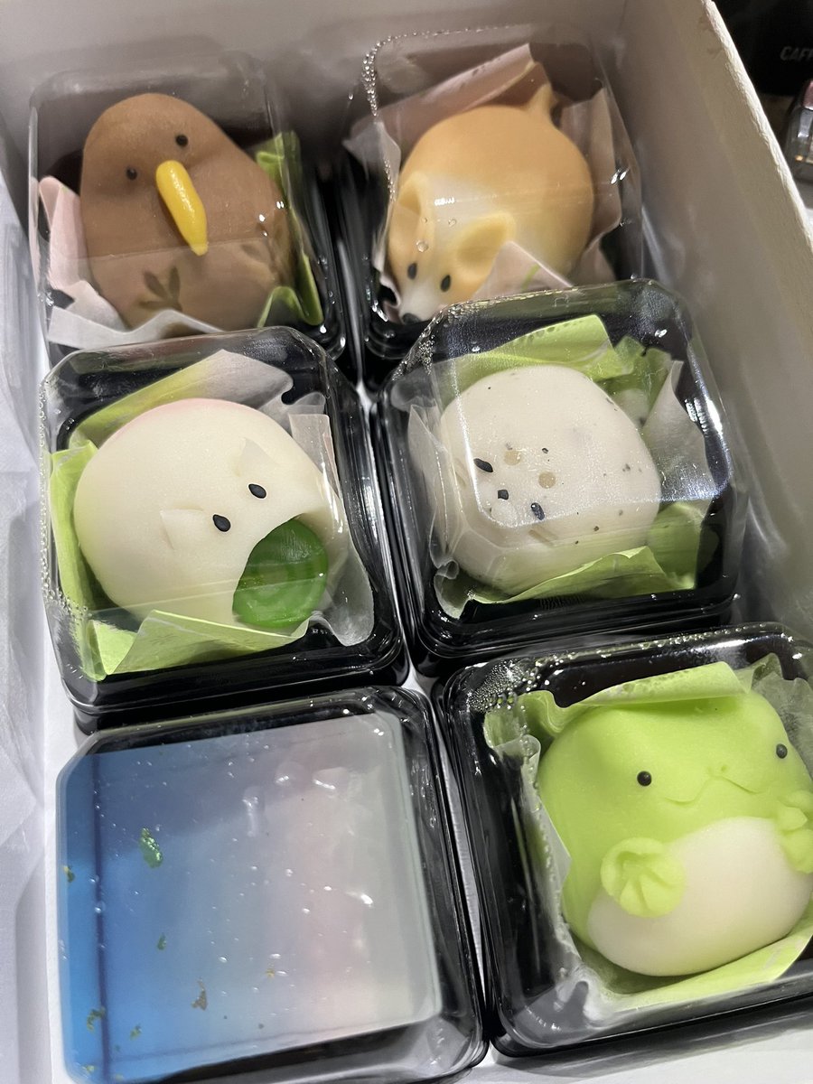 mo_mo_skmt's tweet photo. 🍡 https://t.co/8UJ7z9Hz8v