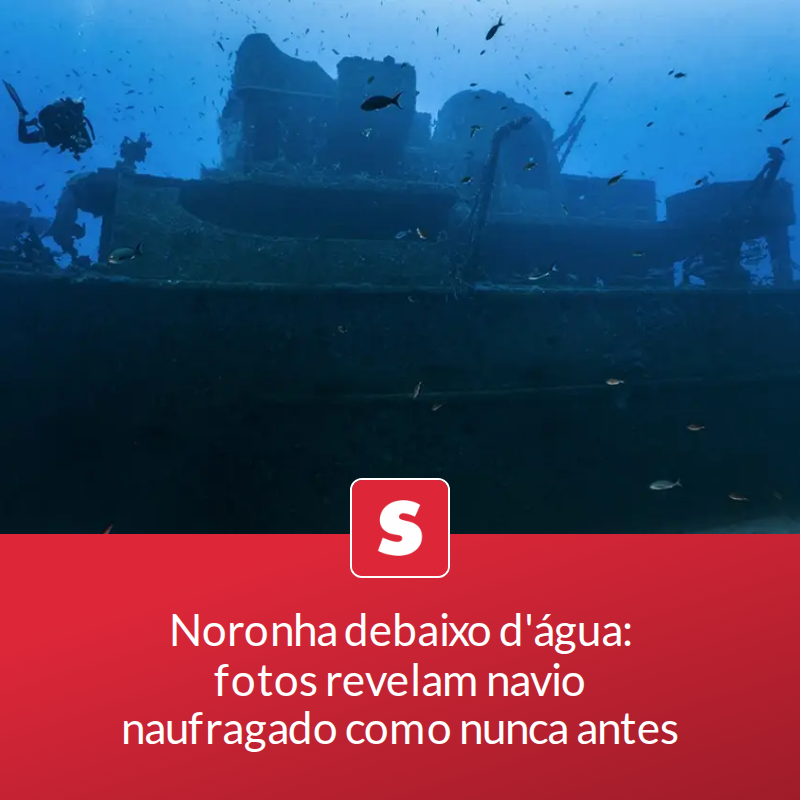 revistasuper's tweet photo. Noronha debaixo d'água: fotos revelam navio naufragado como nunca antes

Um casal de mergulhadores realizou um registro panorâmico inédito da Corveta V-17. Saiba detalhes do projeto.

📖 Leia a matéria no link - https://t.co/Sj5i43q2JW https://t.co/HpbNNtjzwJ