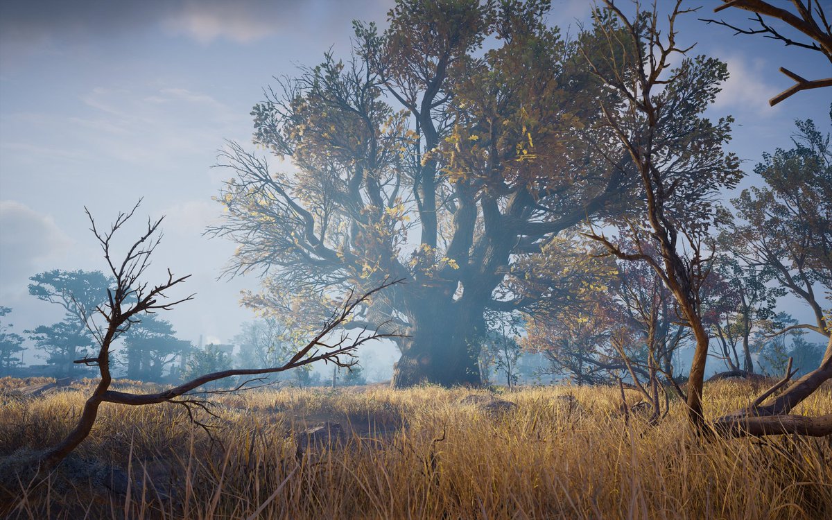 fridrssvardagi's tweet photo. Views in East Anglia
#AssassinsCreed #AssassinsCreedValhalla #ACValhalla #ACFinest #ACPhotoMode #AssassinsCreedPhotoMode #VirtualPhotography #ACUVP https://t.co/dZ04l5WtFh