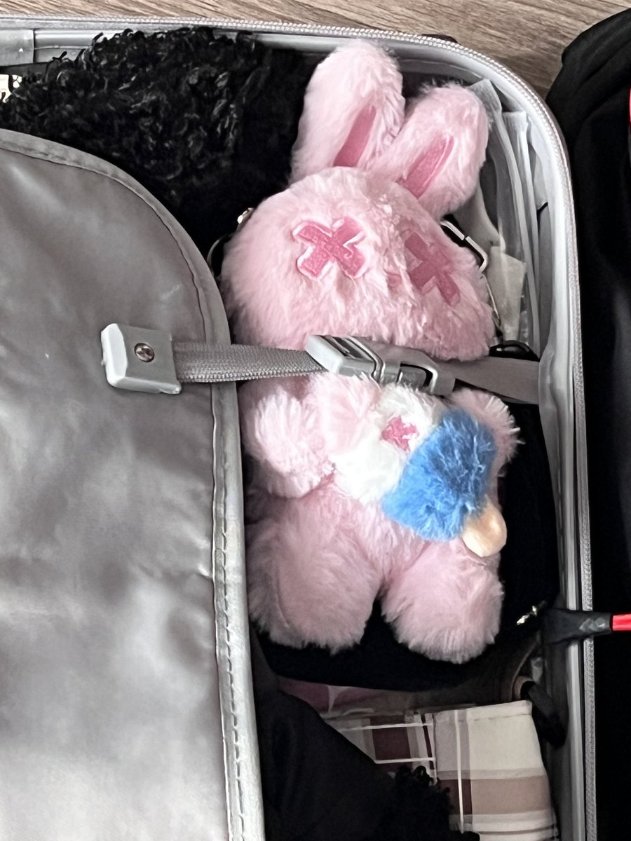 fraddaVT's tweet photo. Oh so tucked in ready for the flight home https://t.co/3tVlYaCrJz