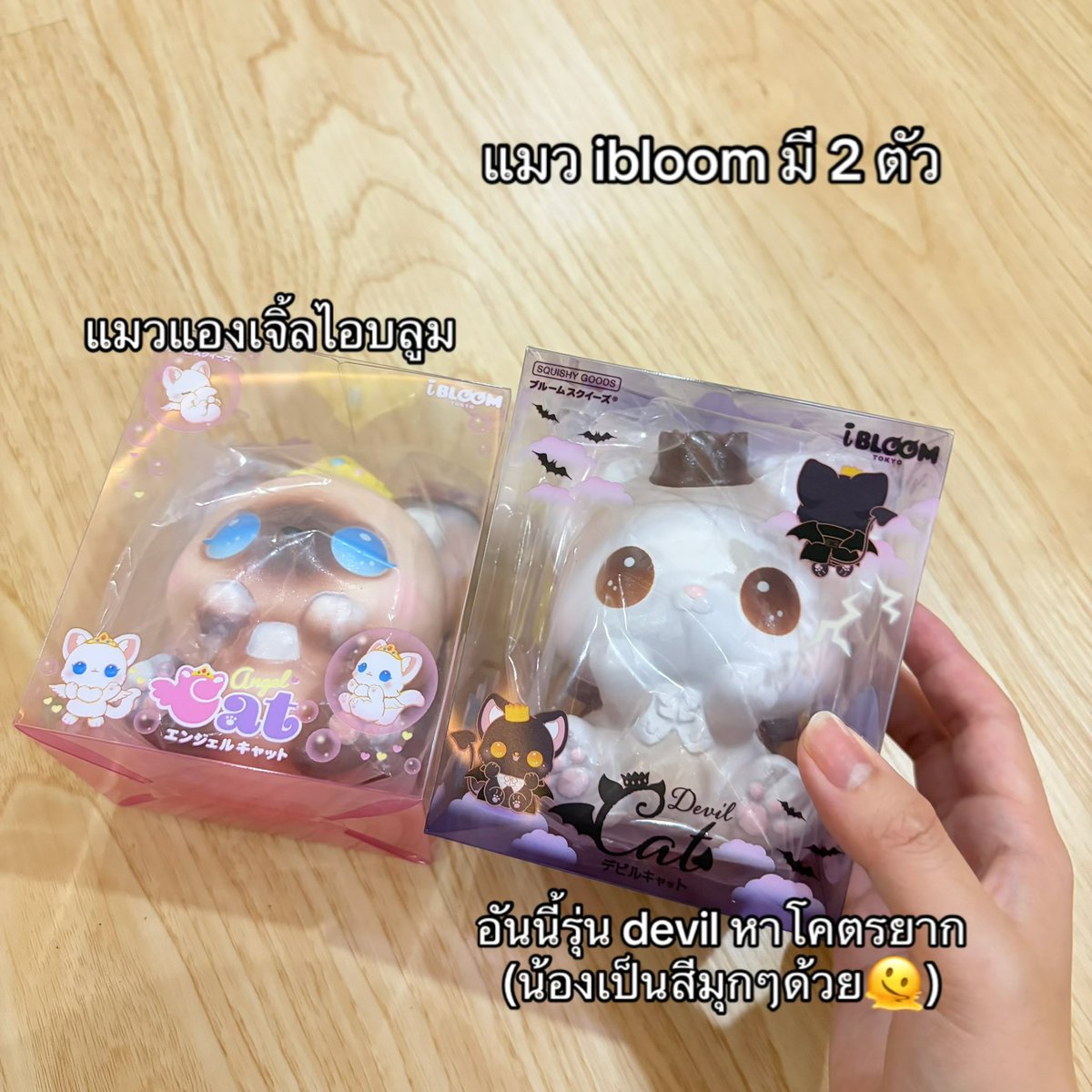 txtuhd's tweet photo. #สกุชชี่ไอบลูม #สกุชชี่พร้อมส่ง #เครปไอบลูม #แมวไอบลูม #เบเกิ้ลไอบลูม #ออมเล็ตไอบลูม #แมวไอบลูม https://t.co/E4TrNtR4Fq