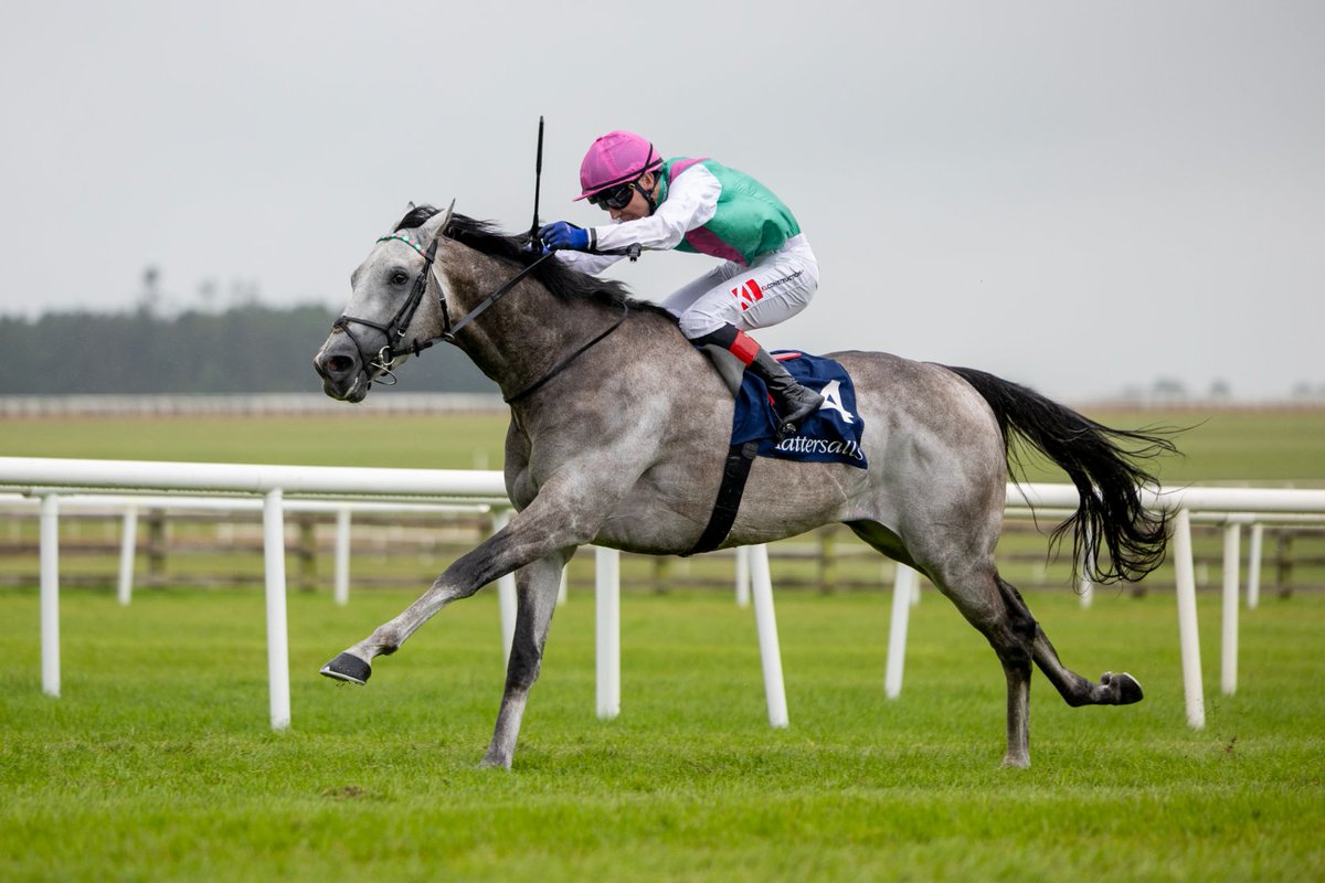 JuddmonteFarms's tweet photo. Field Of Gold, the European Champion three-year-old miler, has been retired from racing and will begin a new chapter at stud with Juddmonte in 2027.

Read more ➡️ https://t.co/55tpVVWRCd https://t.co/QlXheWk7mN