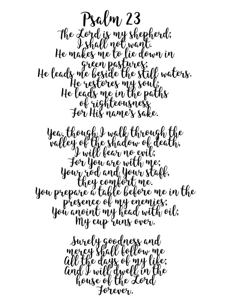 DanSamRR's tweet photo. Good morning Happy Sunday all,
May your main line lead you to church today, the Lord’s Day,
Read the Bible and pray 🙏🏻📖⛪️ https://t.co/pCnauqn82T