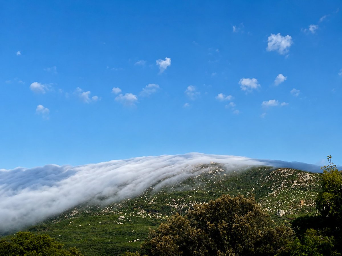 jrambaud's tweet photo. Las cascadas de #nubes que se pueden ver en #CampodeGibraltar Sierra de El Cabrito #Tarifa con #poniente y #Gibraltar con #levante https://t.co/3nCkZRASTr