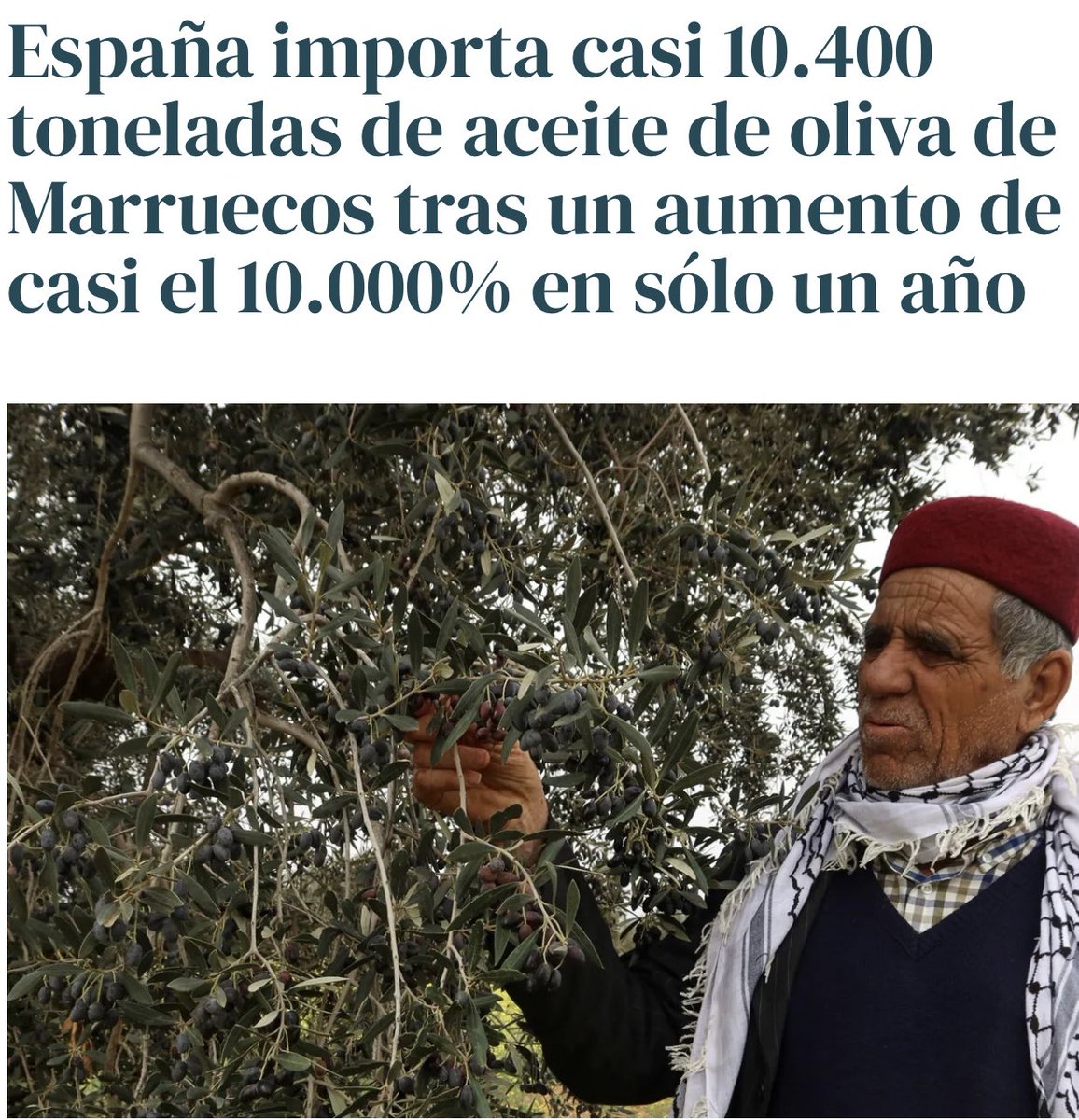 Perrroloco7's tweet photo. Muchas gracias votantes del PSOE… https://t.co/BaB9JpgPBP