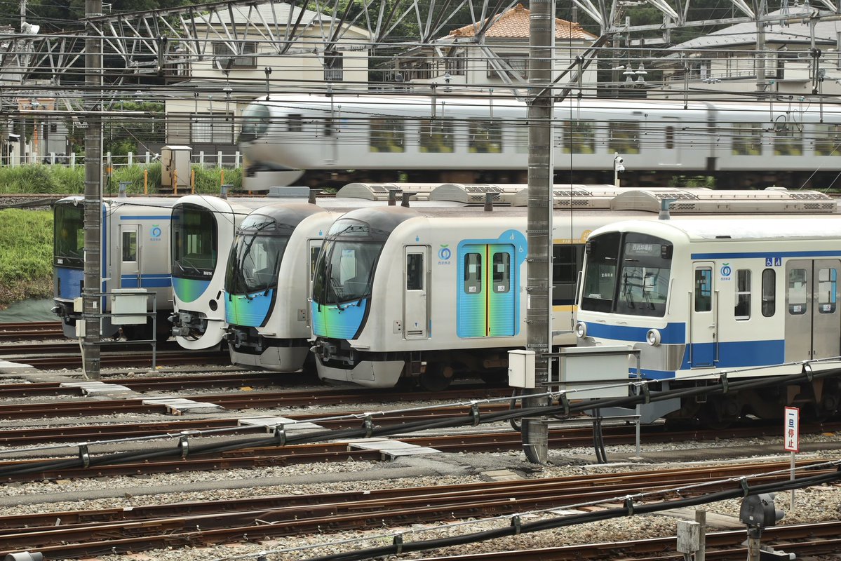 mets_frt's tweet photo. 2026/7/5
小手指車両基地
既報の通り、「使用休止中」札が掲げられた263Fと、その後ろの1241Fを観察。
1241Fに関しては特段札などはなし。 https://t.co/RI8VWrLKdx