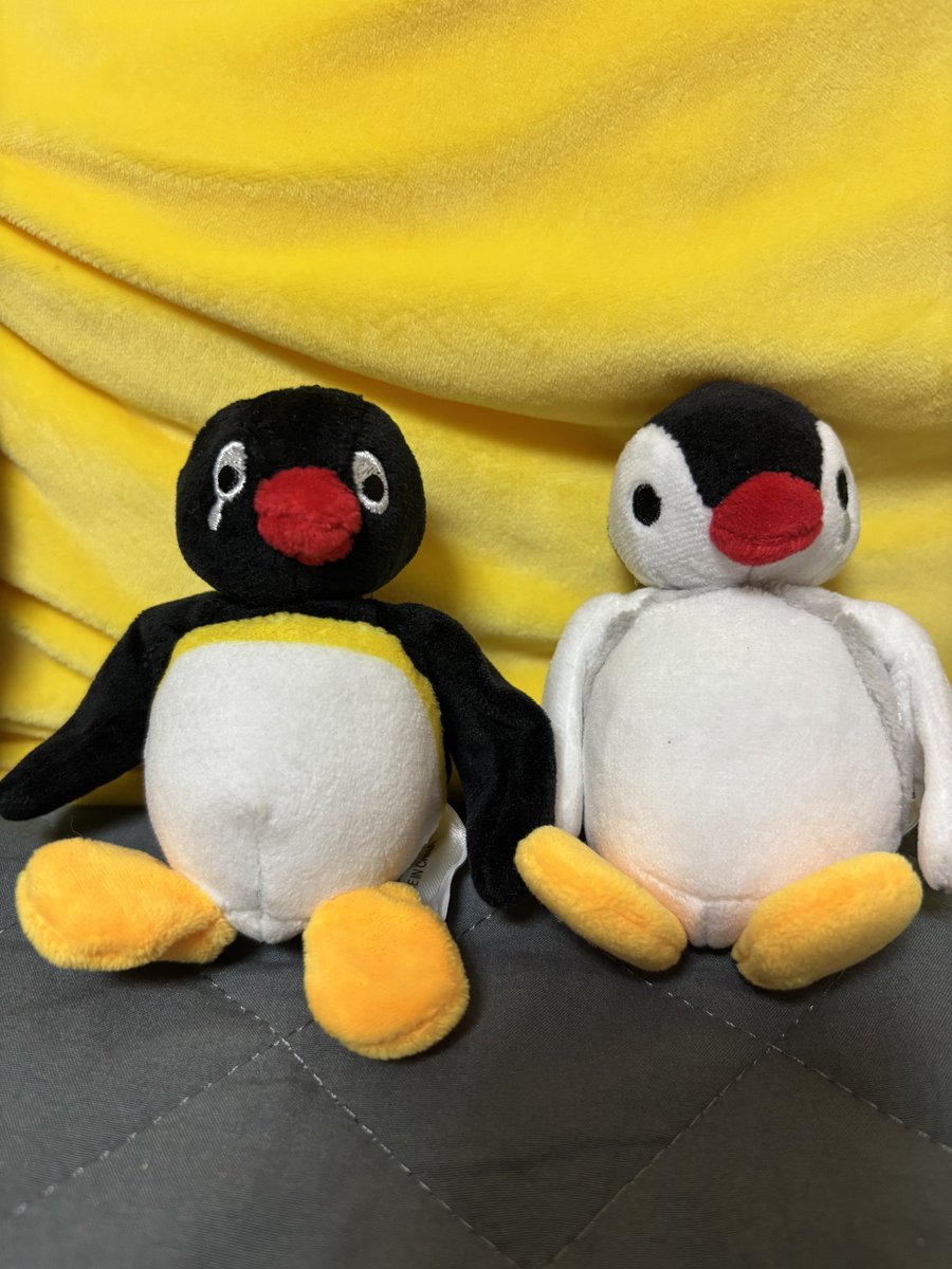 ngtkut's tweet photo. さっき発育のいいピンガの話がふぁぼされてたんすけど同等かちょっと大きめなんすよね まあどんなサイズでも可愛いんですが…ちょっとピングーがスリムなのかも？ https://t.co/Hg7ZSUk8iJ