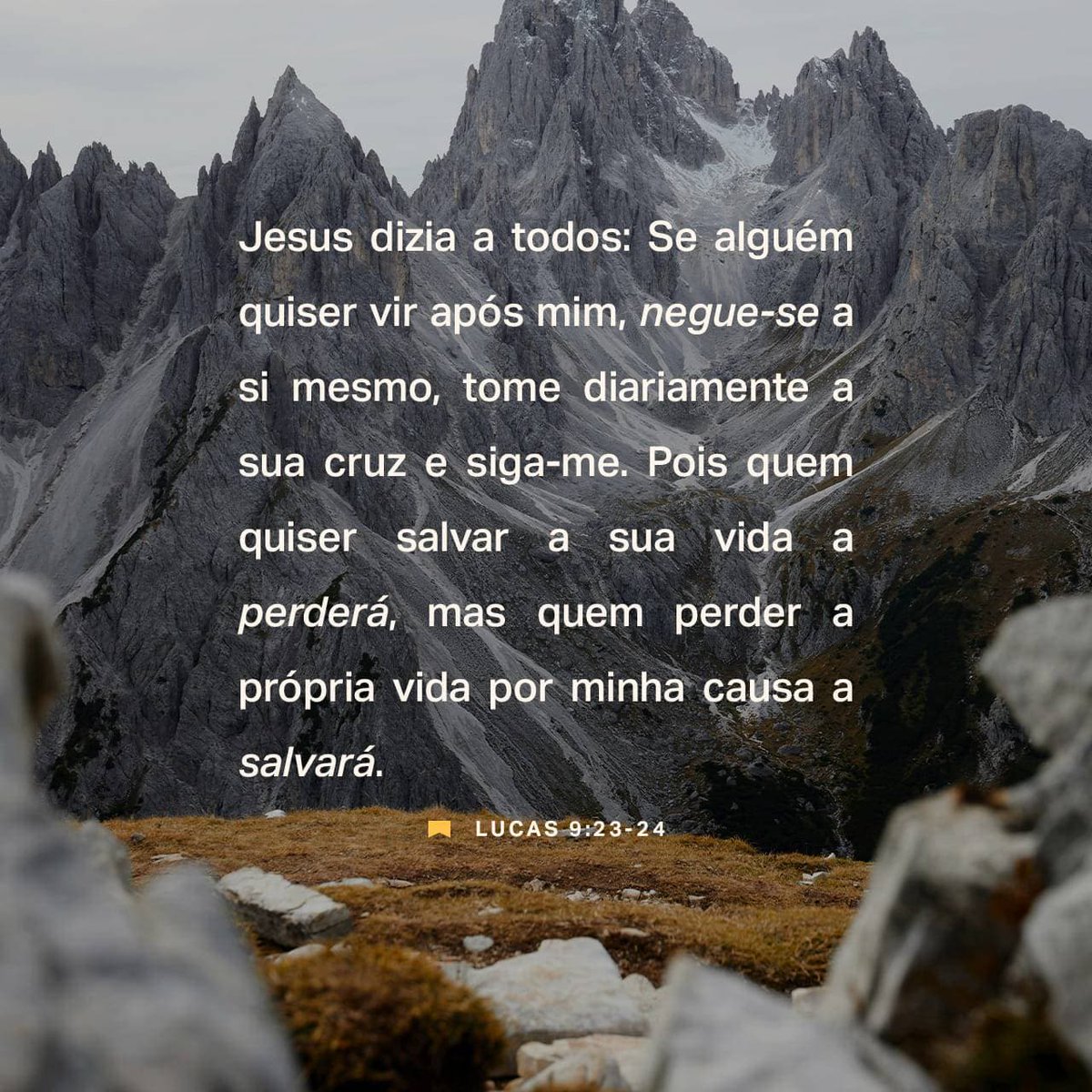 bicas_felipe's tweet photo. Bom dia!!! #ComJesusTemJeito https://t.co/jCIbv4AuLZ