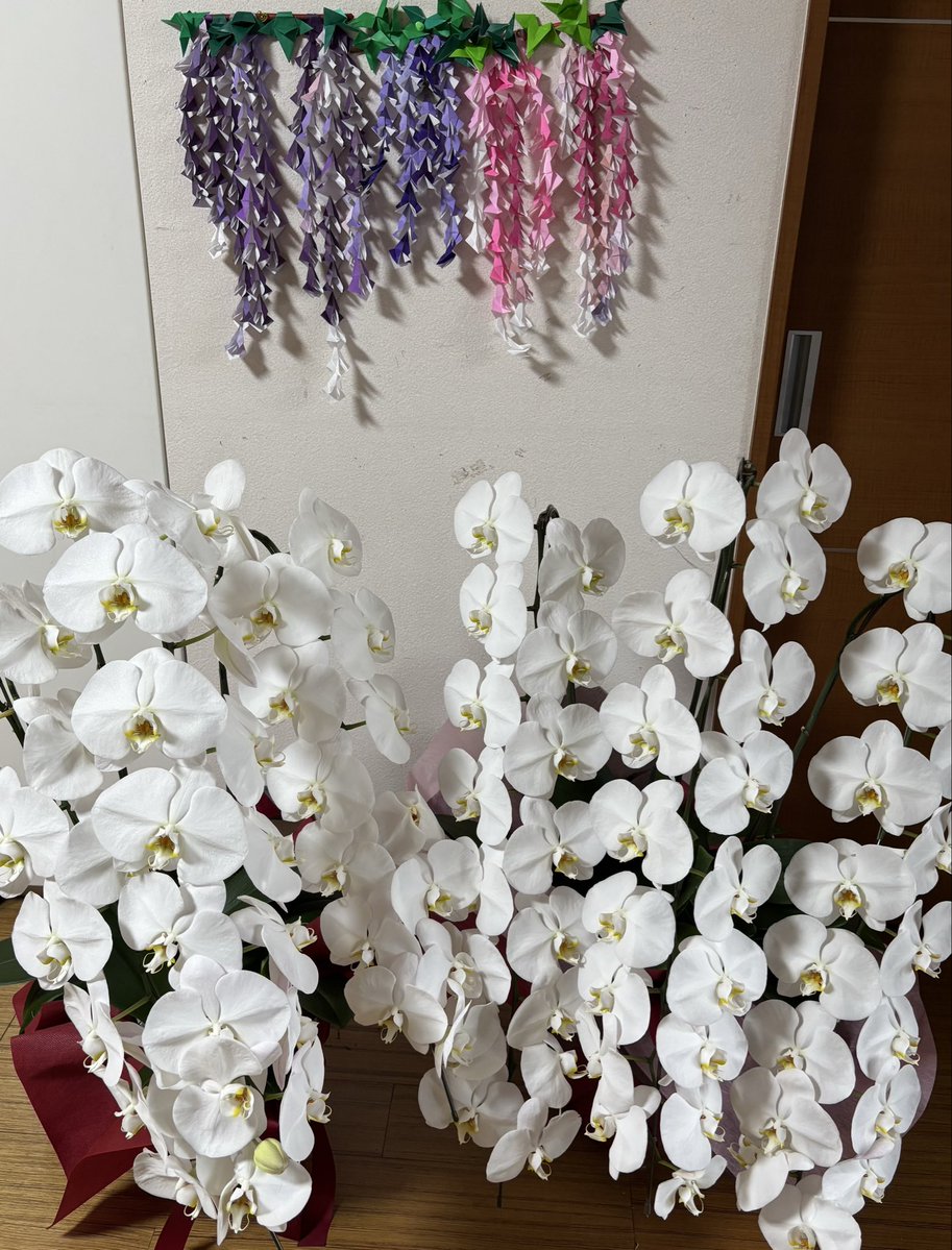 imagashun__'s tweet photo. 目指せ〜楽しい老後〜👵

突然の〜胡蝶蘭が2鉢も〜！
孫っちから届きました〜😳❣️

福ちゃん食堂は〜週1で
賄い通ってま〜すが〜😋
久しぶりの飲み会メニュ〜🍻
肉🐷肉🐓肉🐮まつり〜🍖🍻 https://t.co/aFQDIAc8e6
