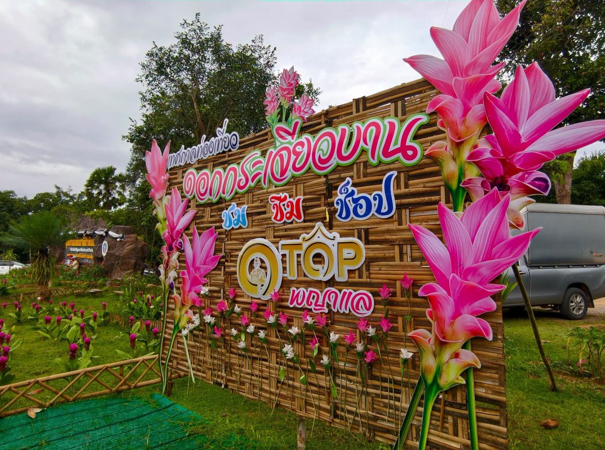 Zise_56's tweet photo. อยากชวนเธอไปดูดอกกระเจียวบาน
#เทพสถิต https://t.co/fjfdKtpR3I