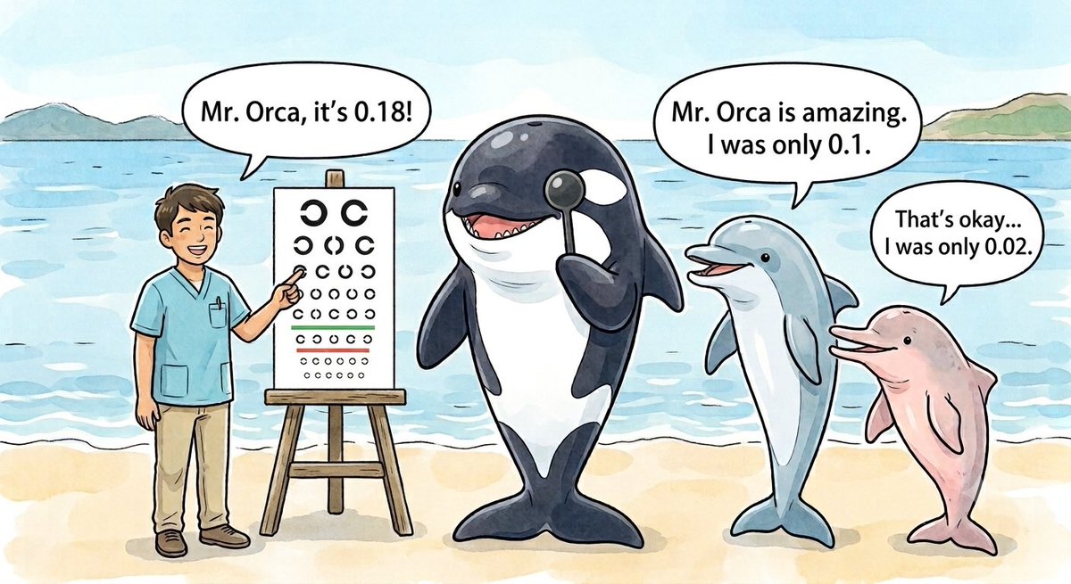 OrcaLabo(シャチ研究室) tweet media
