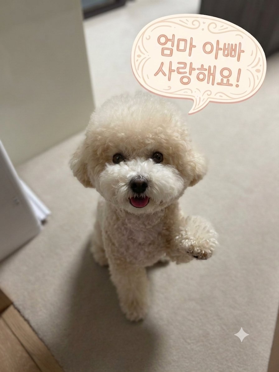Istinnisa's tweet photo. SOGEUM LU LUCU BANGET SUMPAH WKWKW https://t.co/z9kCM8C0NI