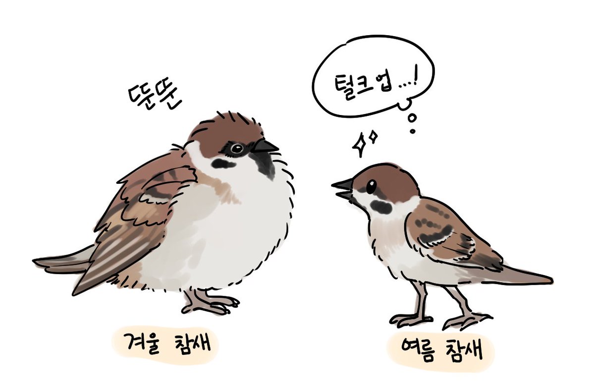 ppamipya's tweet photo. https://t.co/3osozF3iVa