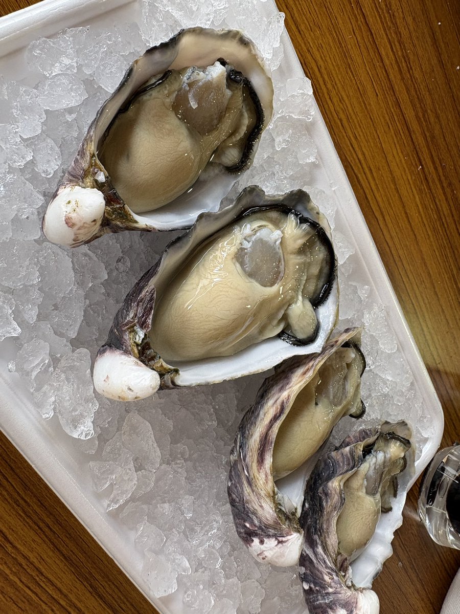 traveriko's tweet photo. 岩牡蠣🦪 https://t.co/bTZQCJ9x6T
