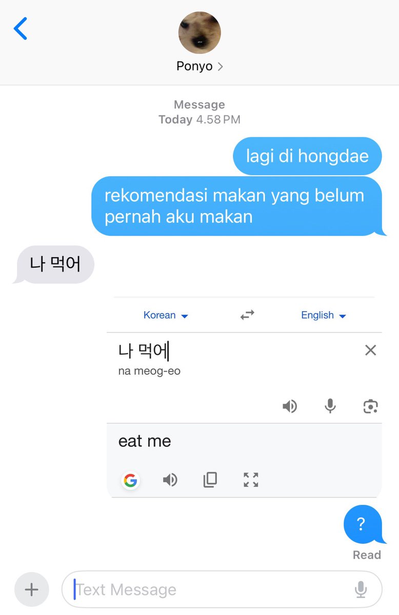 bee tweet media