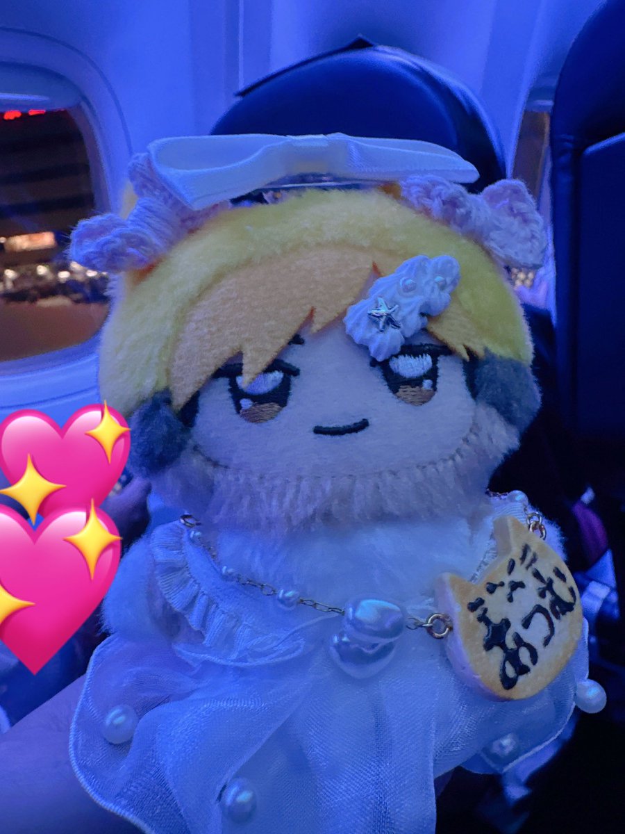 m様・有難うございました✨ なんか色々諸々忘れてる気がしますが 南の島のあちむは帰ります