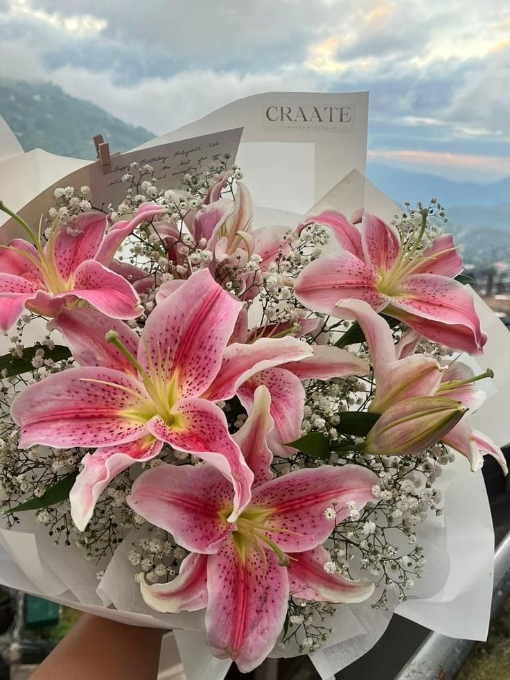 dreamyflowerrs's tweet photo. lilies https://t.co/xCVb4gwyhG