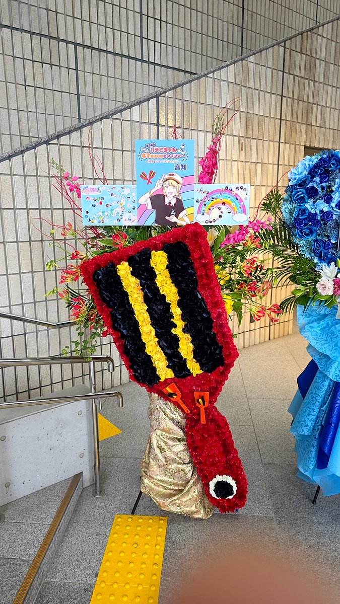 56DBUJ17's tweet photo. 初四国、初高知、初1列目。急遽で初物づくしだったけど自分の中では今までのコンサートで上位にくるほどの神セトリだった😭
目を痛めてしまい終始サングラスをつけてだったけど痛みを忘れるくらい感動したし、いつも来ている方がサインボールを貰えてたのもなんか嬉しかった😄
#ハラミちゃん https://t.co/TlUa3NbyZ2