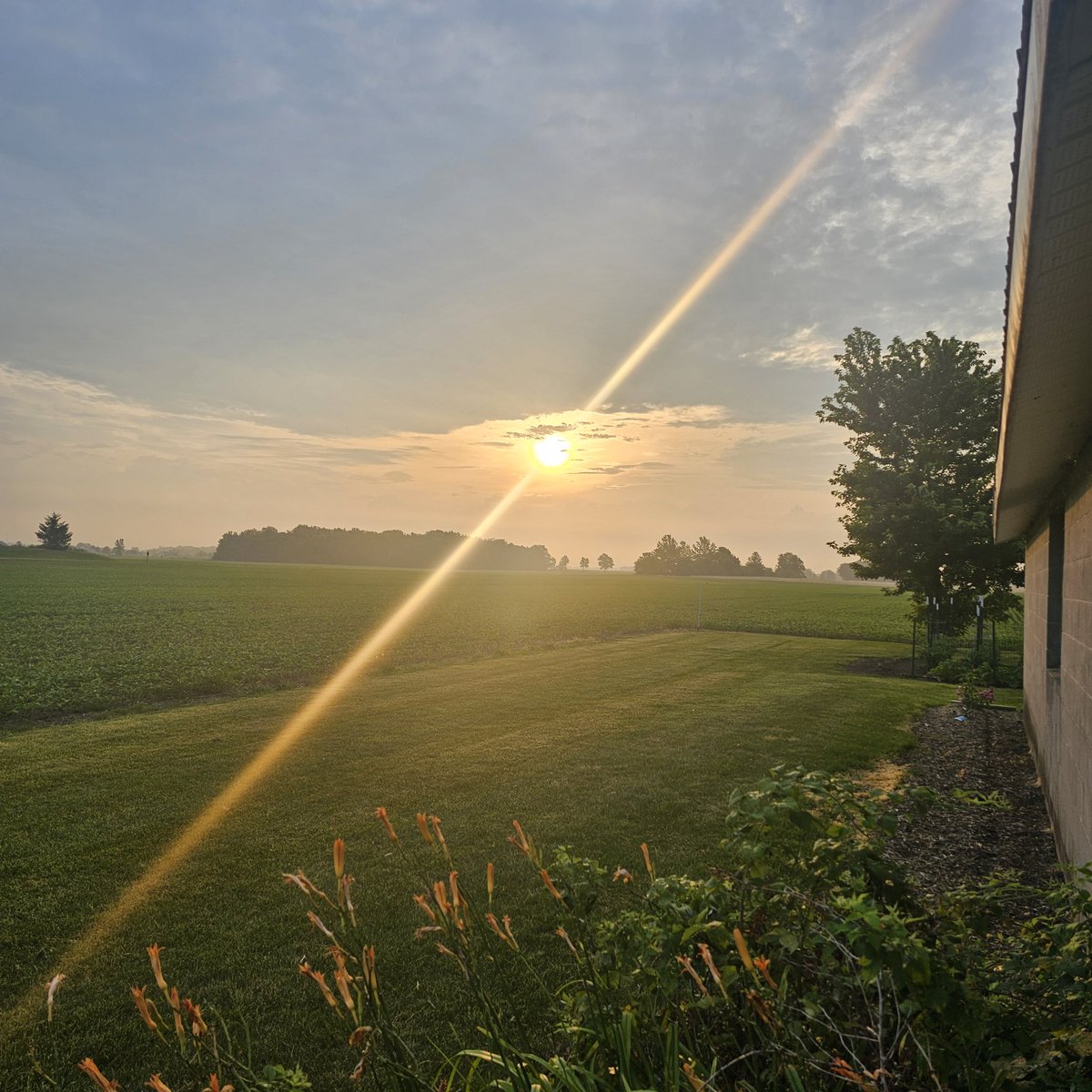 JoeMelajoe65's tweet photo. Great Sunday morning to you from Northeast Indiana countryside USA!!!! ๐ฏ๐โค๏ธ๐บ๐ธ๐บ๐ธ๐บ๐ธ๐บ๐ธ #USA250 #AMERICANJOE https://t.co/lfUg27bG8n