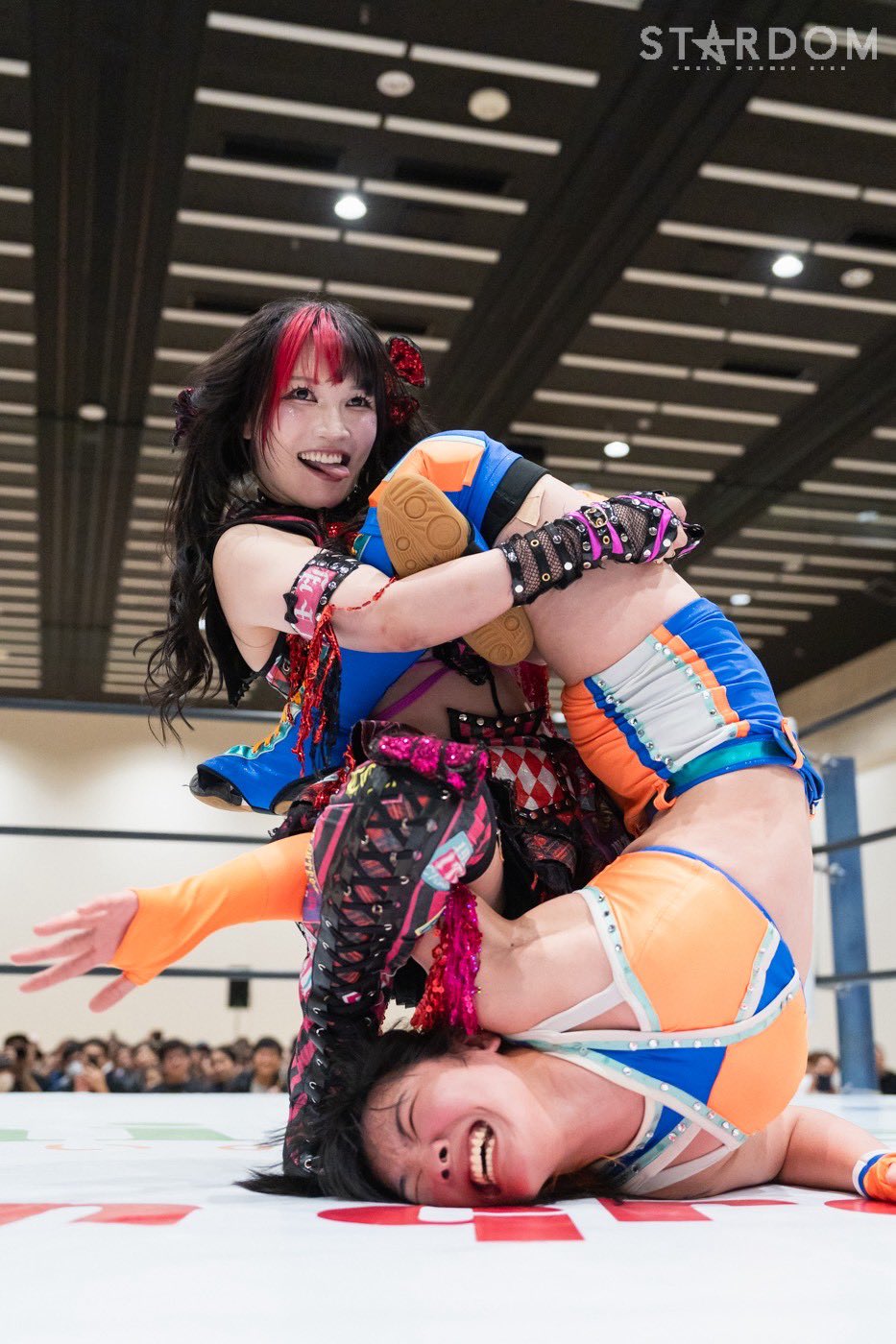 伊藤麻希 Maki Itoh on X: 
