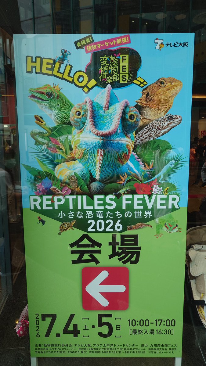 oosakaMacropus's tweet photo. レプタイルズフィーバー行ってきた！
グッズと生体販売。こういうフェスに初めて参加したのでただただ圧倒されました。
グッズは欲しいものが多すぎた中、まさか本が売られててこれは速攻買いました（笑）
足が出てるツノガエルのオタマジャクシ見れてよかった！

#レプタイルズフィーバー
#レプフィ https://t.co/HOcQWE1QTr