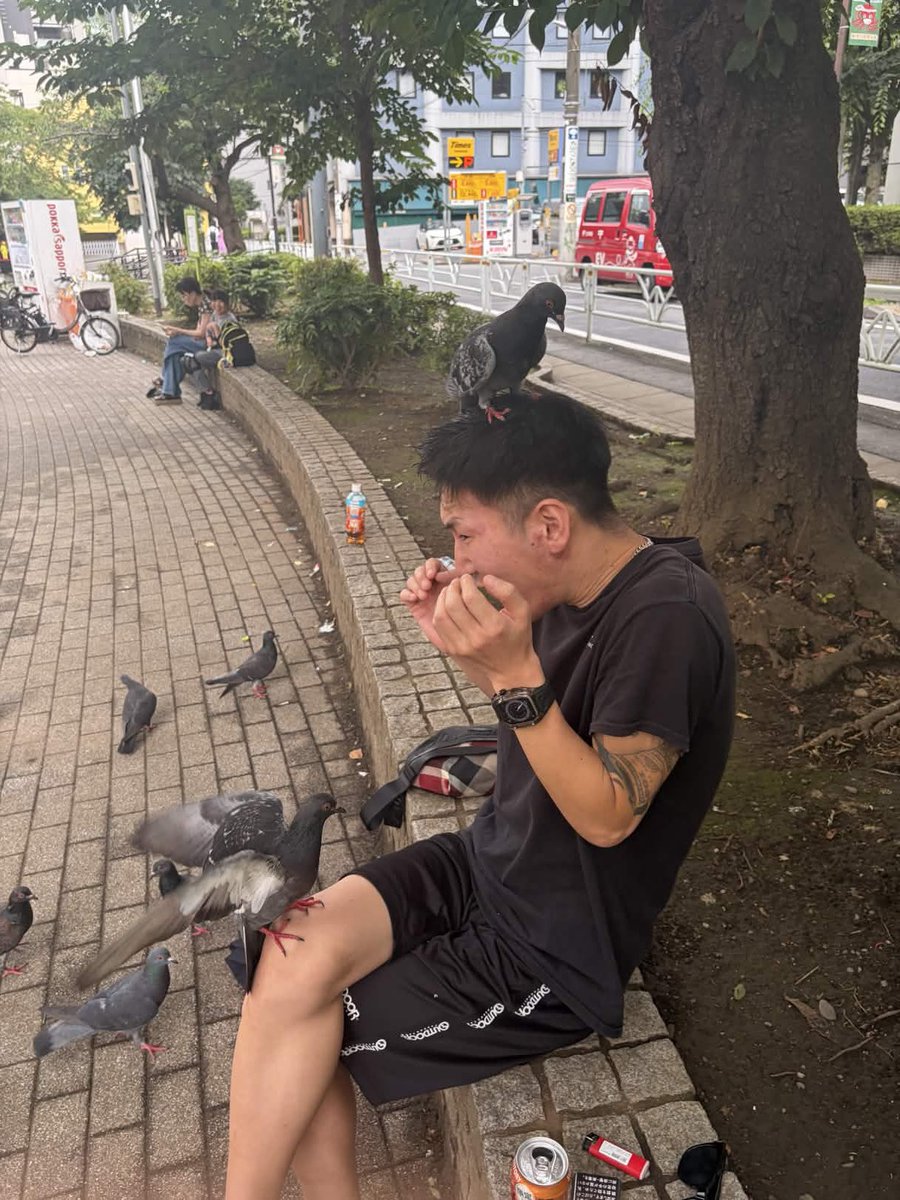Ryohey_ssrs's tweet photo. 超NATSUZOME HATOステージ https://t.co/VFfZNS71sf
