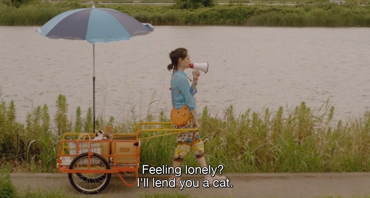 taesdawn26's tweet photo. rent-a-cat (2012) https://t.co/C3PVD5FRJ1