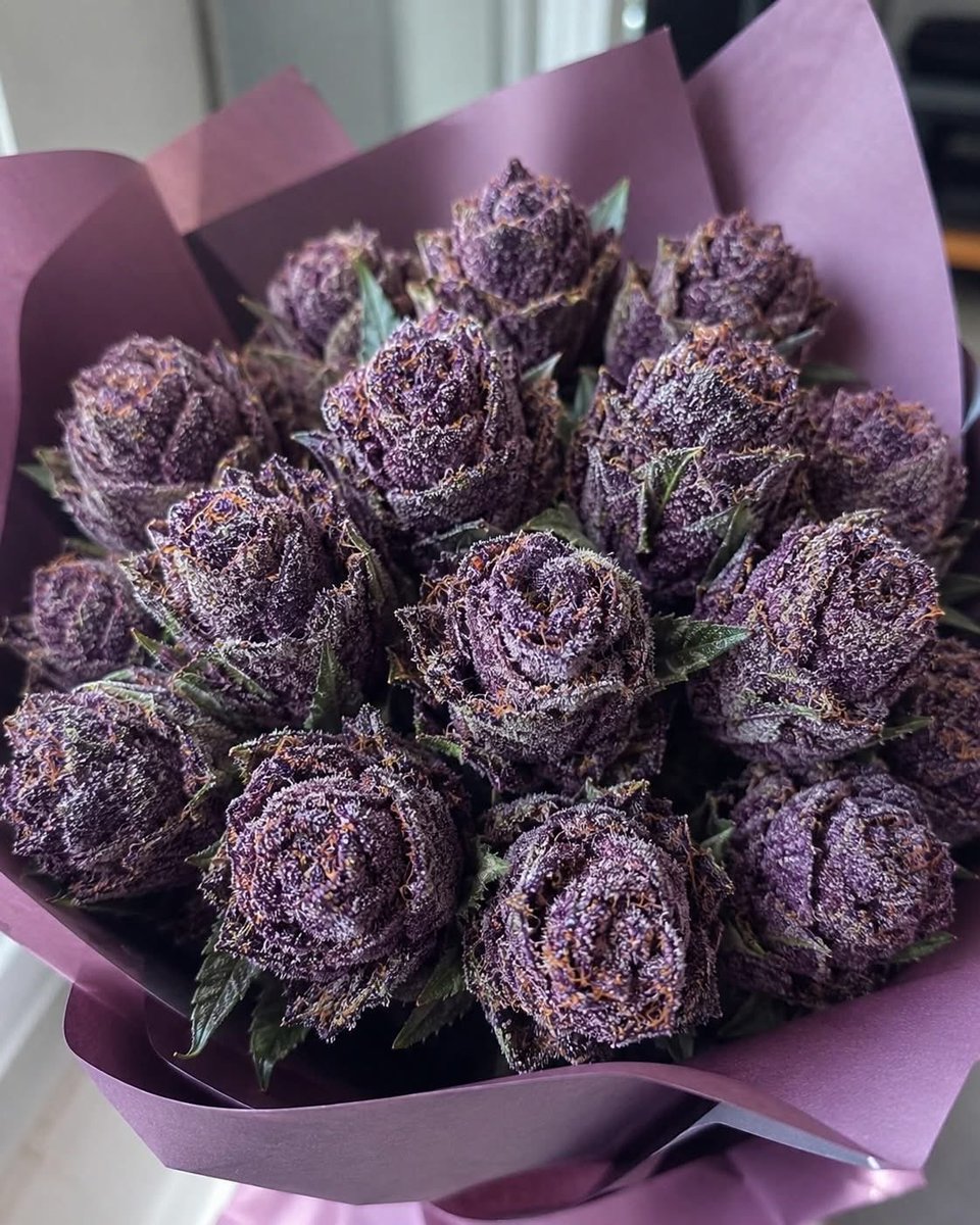 jamesbryan0420's tweet photo. Perfect bouquet for her💜 https://t.co/a8wWYBQk36