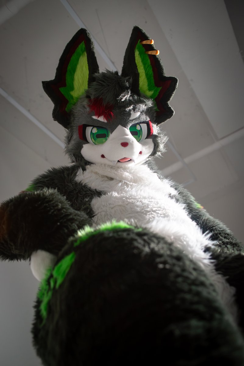 Ikiki_ECC's tweet photo. 본마가 보기엔 그 위치가 썩 잘 어울리는 듯 하군!
#FursuitEveryday 

📸: #lowdelight https://t.co/m29hWj4eLA